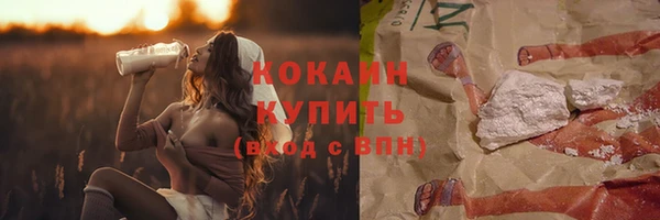 гидра Арсеньев