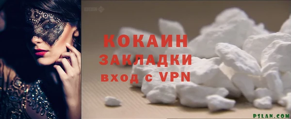 гидра Арсеньев