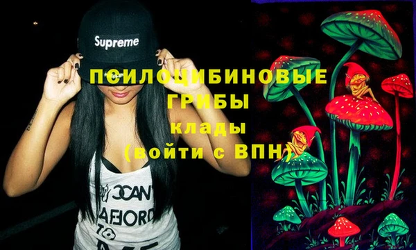 прущий лед Армянск