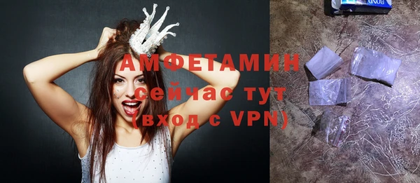 гидра Арсеньев
