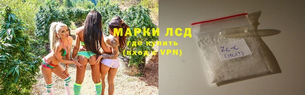 гидра Арсеньев