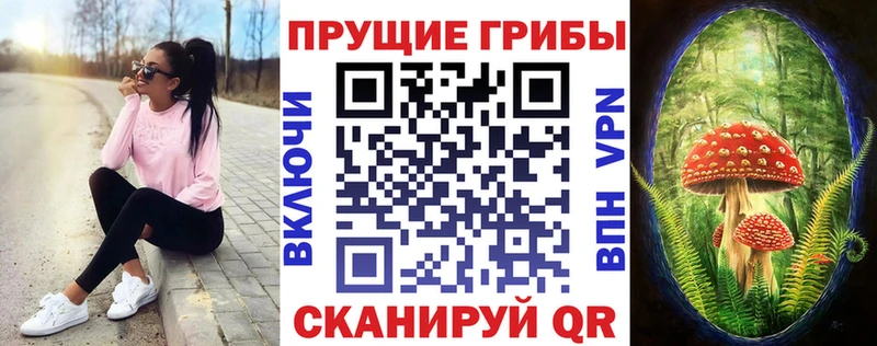 Галлюциногенные грибы Psilocybe  наркота  Пушкино 
