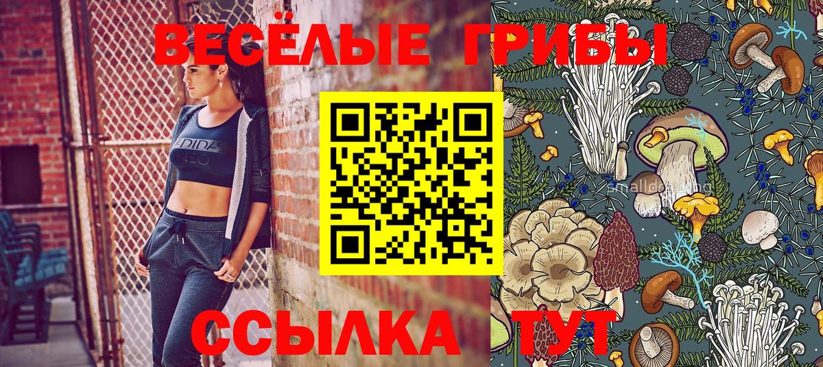 продажа наркотиков  Псилоцибиновые грибы Psilocybe  Галлюциногенные грибы Psilocybe  Вход с VPN  Пушкино 